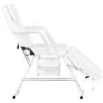 202 basic cosmetic chair + 1040 cosmetic table + s5 led magnifier lamp 3