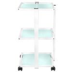 202 basic cosmetic chair + 1040 cosmetic table + s5 led magnifier lamp 4