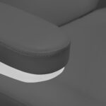 Electric cosmetic chair SILLON CLASSIC 2 motors pedi gray 6