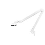 Elegant LED workshop lamp 801-tl with a reg. white light intensity and color - Image 4