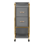 GABBIANO HAIRDRESSER TROLLEY SOLO GOLD GRAY 1