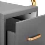 GABBIANO HAIRDRESSER TROLLEY SOLO GOLD GRAY - Image 6