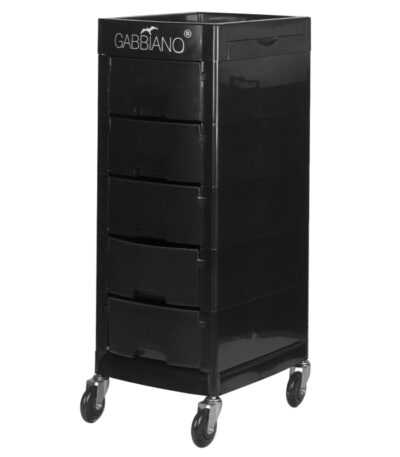 Gabbiano hairdressing assistant ft65-a black