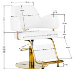 Hairdressing chair Gabbiano Linz NQ Gold White 3