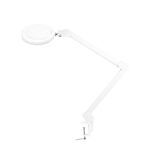 LED LUPA LED GLOW 8021 LAMP ADJUSTABLE COLOR OF LIGHT - Image 2