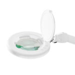 LED LUPA LED GLOW 8021 LAMP ADJUSTABLE COLOR OF LIGHT 2