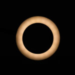 SNAKE RING LED LAMP LAMP ON A DESK BLACK 2